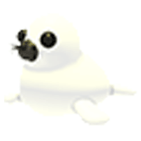 Harp Seal  - Uncommon from Winter 2023